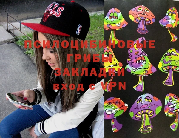 бошки Алексин