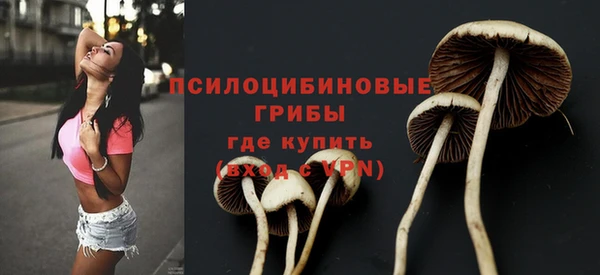 первитин Арсеньев