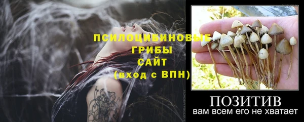 первитин Арсеньев